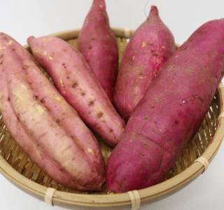 こだわりの国産蜂蜜 横田養蜂