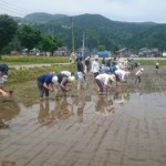 ５月２６日撮影