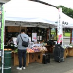 IMG_4795