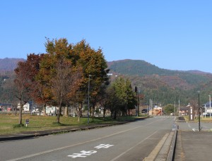 IMG_5337