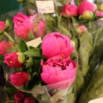 IMG_5754
