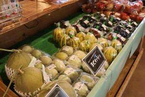 IMG_6065