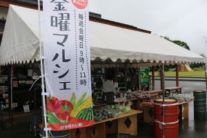 IMG_7880