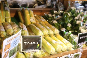 IMG_8192