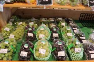 IMG_8385
