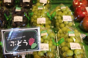 IMG_8445